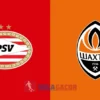 PREDIKSI BOLA GACOR PSV VS SHAKTAR DONETSK