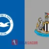 PREDIKSI BOLA BRIGHTON VS NEWCASTLE UNITED