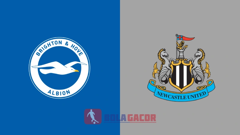 BRIGHTON VS NEWCASTLE
