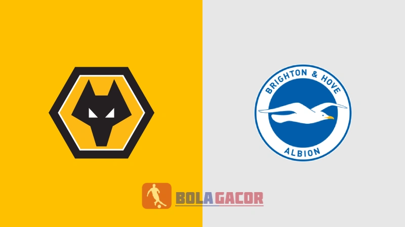 Wolverhampton vs Brighton