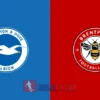 PREDIKSI BOLA BRIGHTON VS BRENTFORD