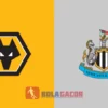 PREDIKSI BOLA WOLVERHAMPTON VS NEWCASTLE