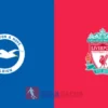 PREDIKSI BOLA BRIGHTON VS LIVERPOOL